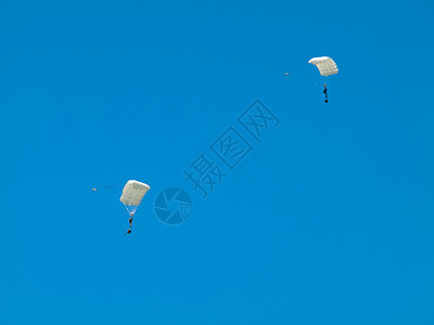 伞兵集团男人自由闲暇蓝色冒险跳伞团体空气飞行天空背景图片