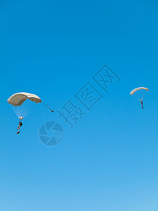 伞兵集团天空乐趣运动自由跳伞男人蓝色团体闲暇空气背景图片