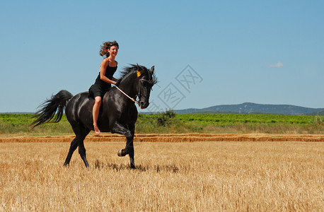 骑马女童黄色微笑草地场地动物运动假期青少年黑色太阳高清图片