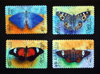 蝴蝶邮票澳大利亚人阿格斯高清图片