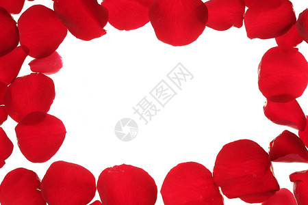 红玫瑰花瓣框框边框 白色复制空间奢华庆典念日热情邀请函假期卡片礼物明信片边界背景图片