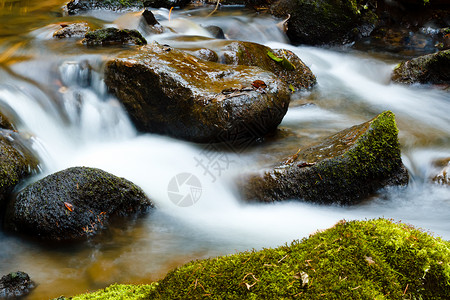 涓细流秋天在小山河瀑布的一棵林木中坠落流动岩石荒野运动河道溪流洪水绿色瀑布沉思背景