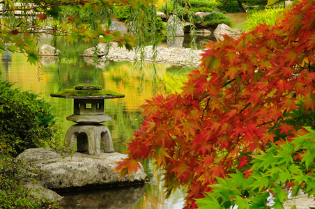 秋光荣耀的美丽的日本花园高清图片