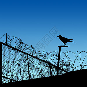 巴布维尔金属监狱外壳栅栏乌鸦背景图片