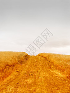 清空农村公路农村路线天空环境爬坡土地天气戏剧性橙子赭石背景图片