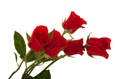 玫瑰花花束纪念日浪漫庆典周年幸福婚礼花朵玫瑰亲热背景图片