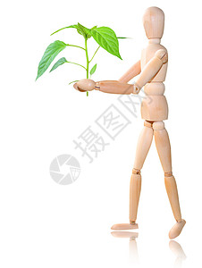 有植物的木头人 白色背景背景图片