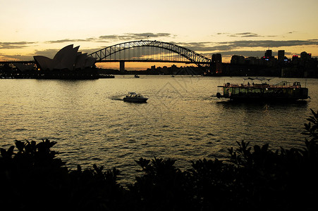 悉尼里程碑花园天空地标假期皇家城市旅行吸引力植物港口背景图片