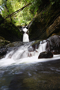 波多伊瀑布El Yunuque国家森林岩石热带旅游里科栖息地天堂环境高度石头假期背景