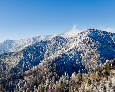 勒孔特白雪中的山 烟雾中的雪树木山峰乡村天空季节公园场景蓝色磨砂山脉背景