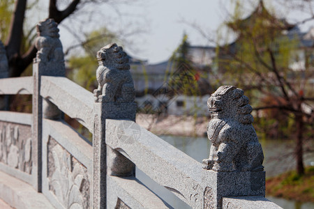 扬州唯宫公园凝胶蕨类技术自然界旅游唯德花园植物背景