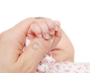 新生价到宝宝抱着大人的手背景