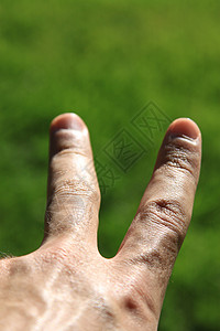 和平信号男性数字男人优胜者手势手指皮肤指甲胜利背景图片