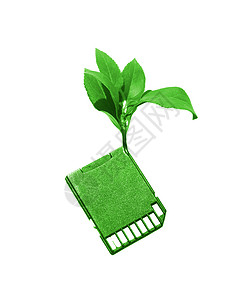 内存卡发芽卡片技术树叶白色绿色玩家发射机电脑记忆背景图片