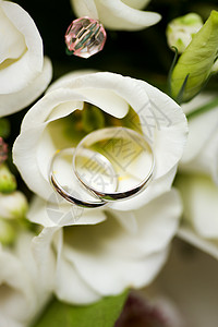 结婚戒指玫瑰热情订婚白色浪漫幸福花束联盟褐色钻石背景图片