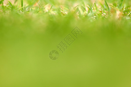 草根纹理法庭高尔夫球绿色网球运动足球背景图片