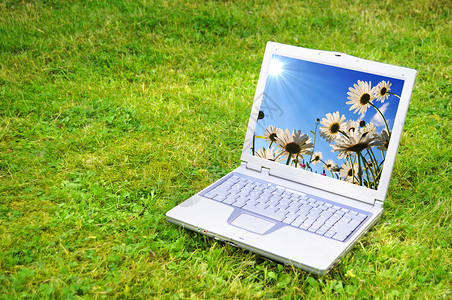 花和笔记本电脑商业生活互联网环境太阳网络晴天自由屏幕监视器背景图片