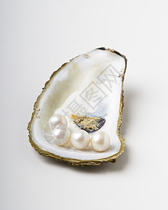 海洋宝藏珠宝食物财富蓝色牡蛎岩石稀有性黄玉白色奢华背景图片