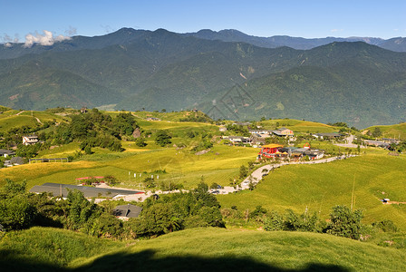 道生一农村生长百合国家农场环境农业场地老虎文化植物群背景