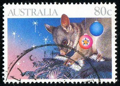 鼠邮票邮票信封尾巴明信片胡须季节邮戳动物哺乳动物爪子鼻子背景