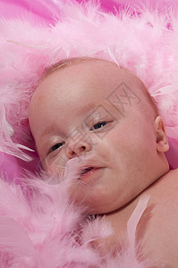 婴儿羽毛3个月大的婴儿躺在粉红色的毯子上 和粉红的波巴背景