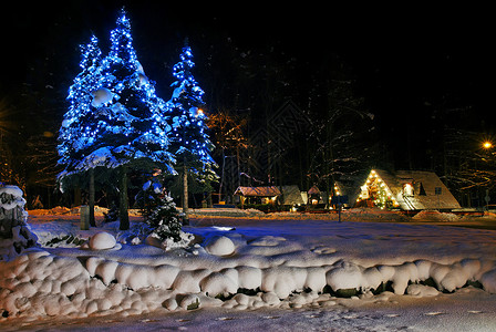圣诞树灯串公共空间的圣诞树背景