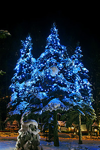 圣诞树灯串圣诞树风景传统季节针叶树装饰庆典假期松树林地树木背景