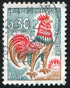 高卢鸡邮票家畜高卢语母鸡邮戳波峰动物农业梳子羽毛农场背景