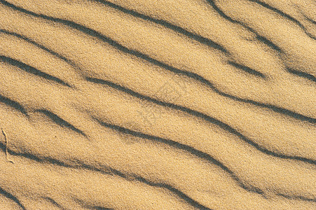 文秘纹理海浪晴天海滩水平痕迹沙丘阳光画幅打印波浪状背景图片