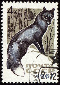 六尾狐兽黑狐在邮戳上背景