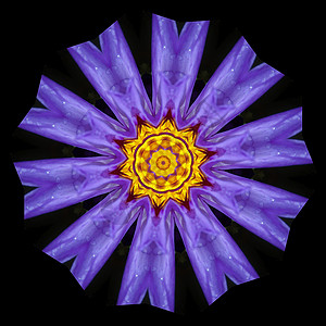 鲜花照片万花筒戒指星星圆形宇宙黑色紫色圆圈插图背景图片