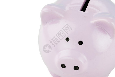 卖萌小猪图片猪猪银行储蓄剪裁白色小猪小路照片粉色宏观硬币金融背景