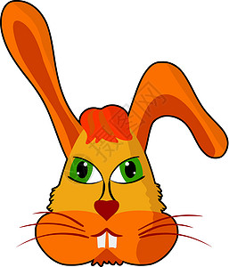 兔子眼睛有趣的兔子乐趣横幅网络插图野生动物哺乳动物绘画白色森林婴儿设计图片