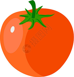 西红柿汤番茄圆圈植物绿色生长生物学红色沙拉食物饮食市场设计图片