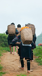 蔡越南萨帕山区部落妇女背景