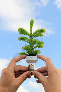 生态能源概念环境活力发明效率灯泡太阳技术养护资源绿色背景图片
