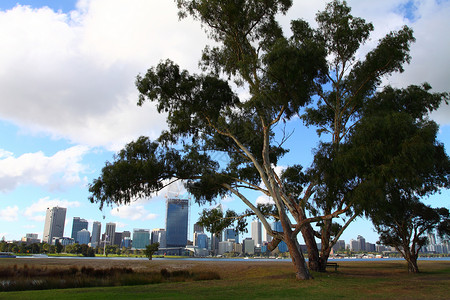 澳洲珀斯的天台和办公楼 城市天空线草地公园市中心商业绿地办公室天际摩天大楼建筑金融背景图片