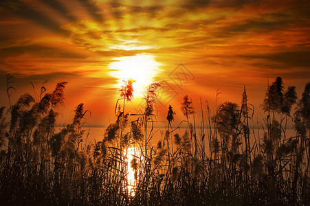 意大利加尔达湖日落湖镜子海岸天空公园叶子射线地平线反射时间墙纸背景图片