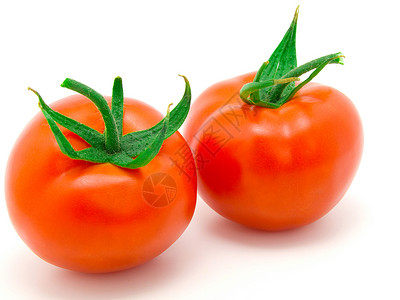 两只红番茄 被白色背景隔离背景图片