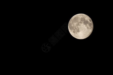 夜空与狼夜空时满月 一天天天滚动背景