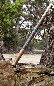 单 Didgerido高清图片