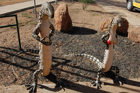 蜥蜴雕像背景图片