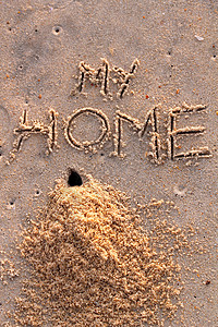 螃蟹洞和一堆沙子 用我家乡的话语背景图片