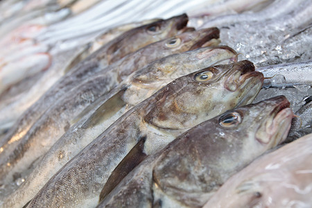 受困美食钓鱼水平市场鱼档运输营养食物饮食摊位背景图片