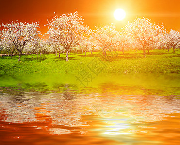 苹果槽太阳季节花园日落种植园农场射线果园光盘天空高清图片