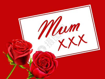 母亲节或有红玫瑰的生日卡插图红色木乃伊庆典卡片母亲白色妈妈背景图片