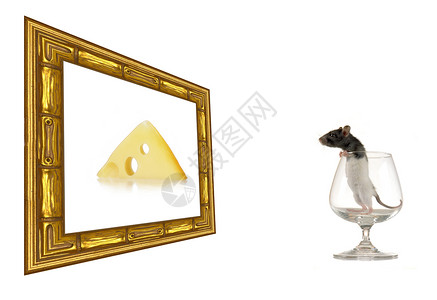 大鼠艺术古董老鼠白色背景图片