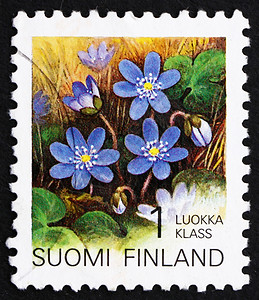 芬兰 1992 Hepatica 鲜花高清图片