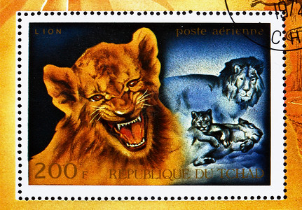 喵星人俱乐部字体设计1972年 乍得邮戳 非洲野生动物狮子俱乐部背景