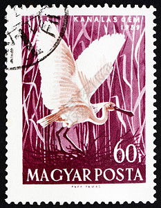 1959年 匈牙利海邮邮票 Bird高清图片
